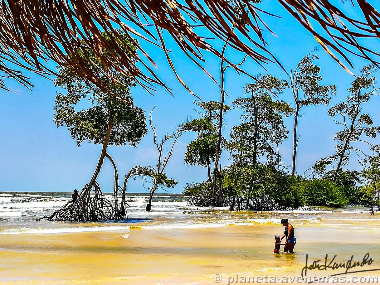 Lugar Ilha de Marajó