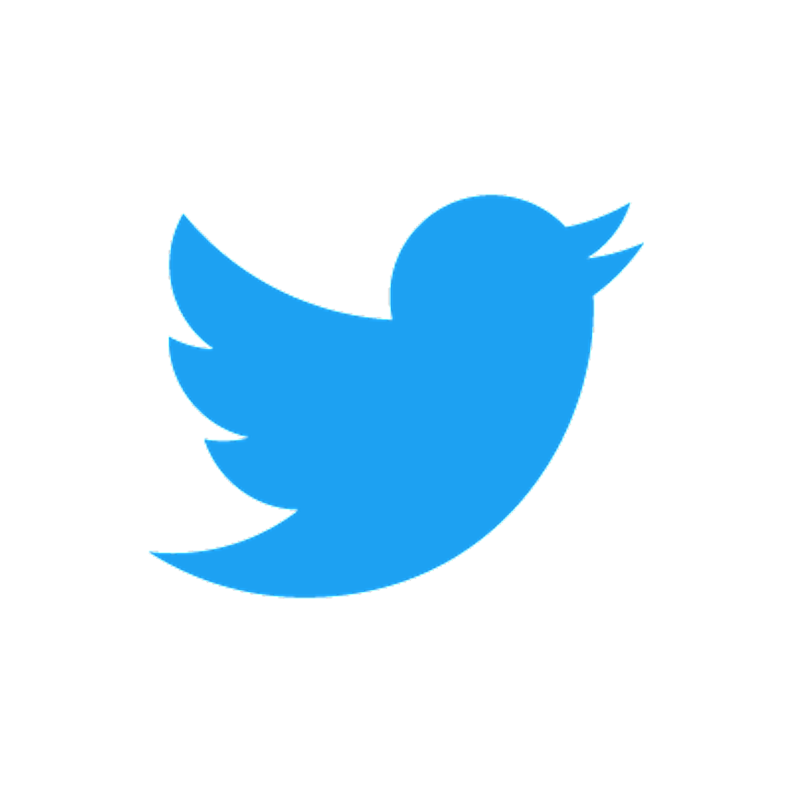Social Twitter