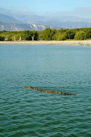 Lago Enriquillo