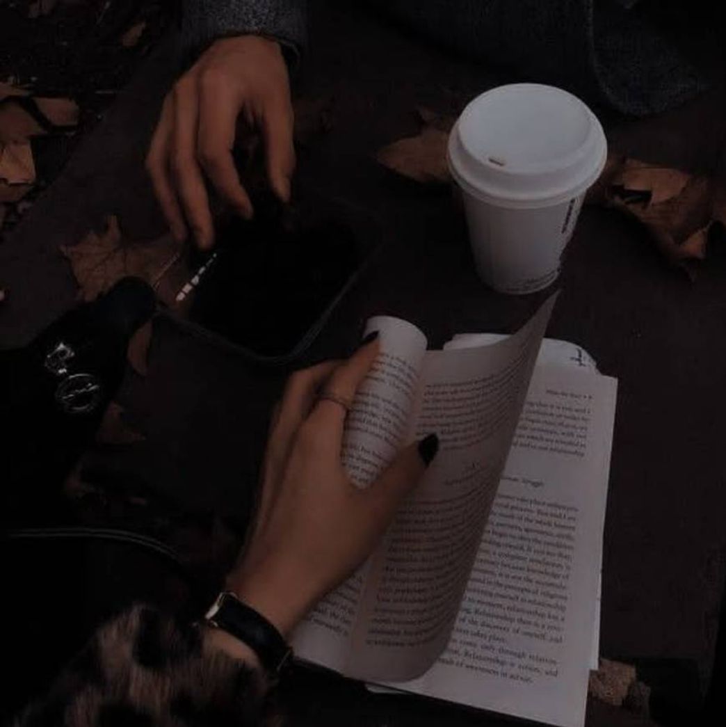 Social Aesthetic