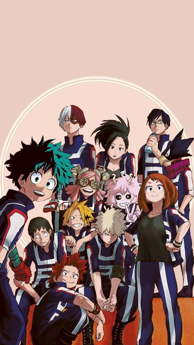 Serie 💠Boku No Hero Academia