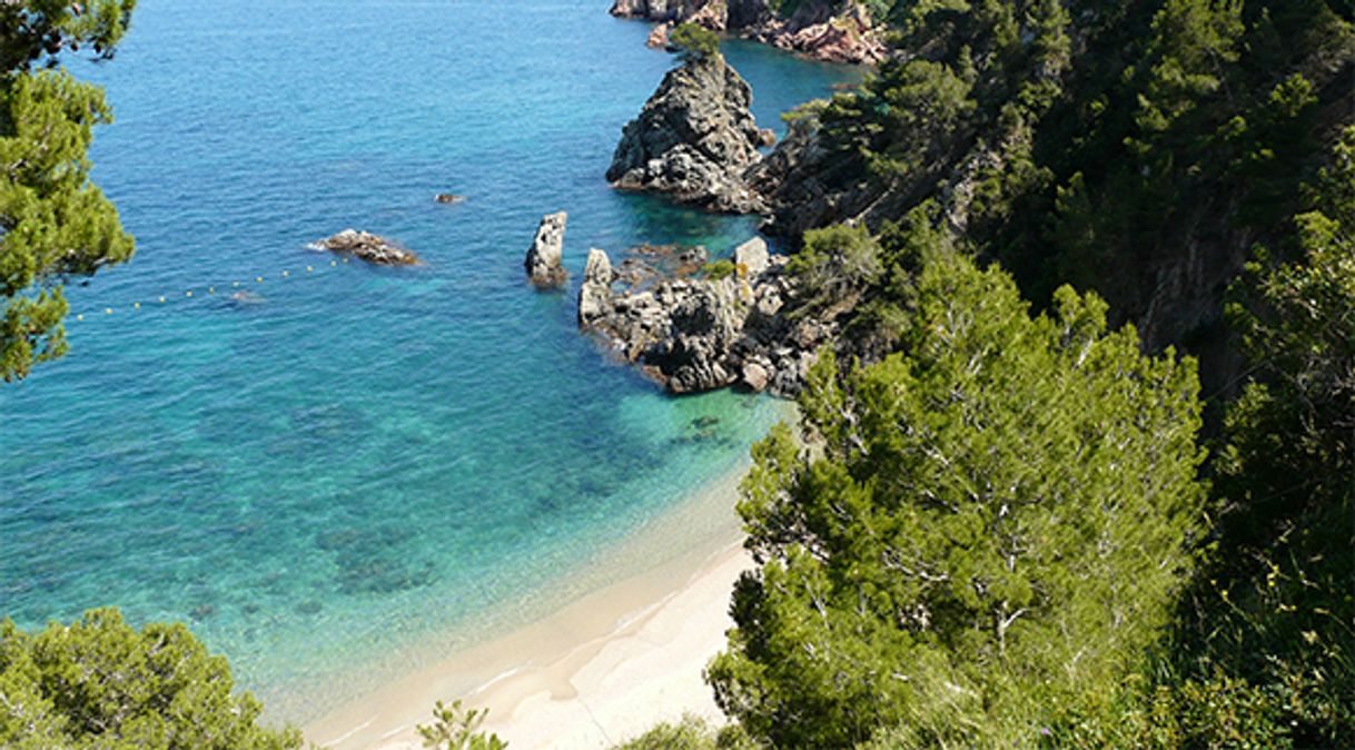 Place Platja Cala El Golfet