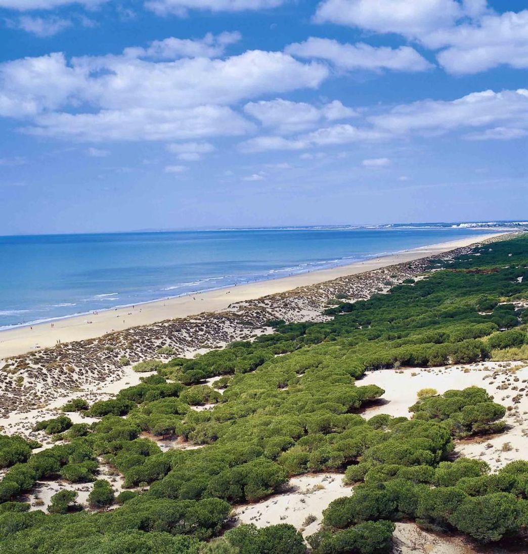 Place Playa de los Enebrales