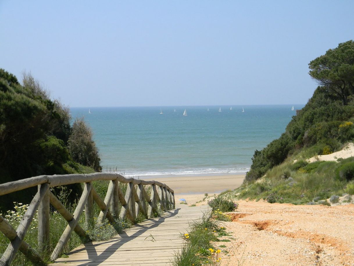 Place Playa de Rompeculos