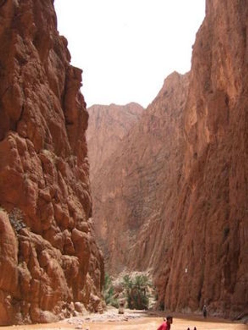 Lugar Todra Gorge