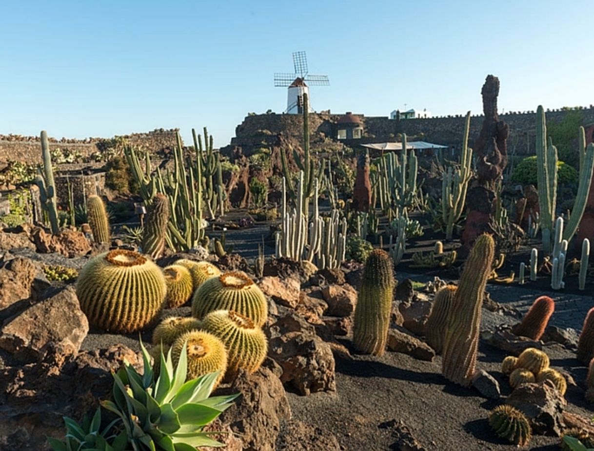 Lugar Jardín de Cactus de Lanzarote