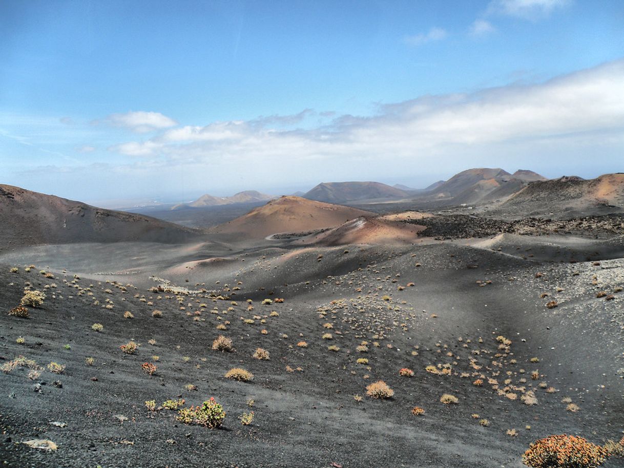 Place Parque Nacional de Timanfaya