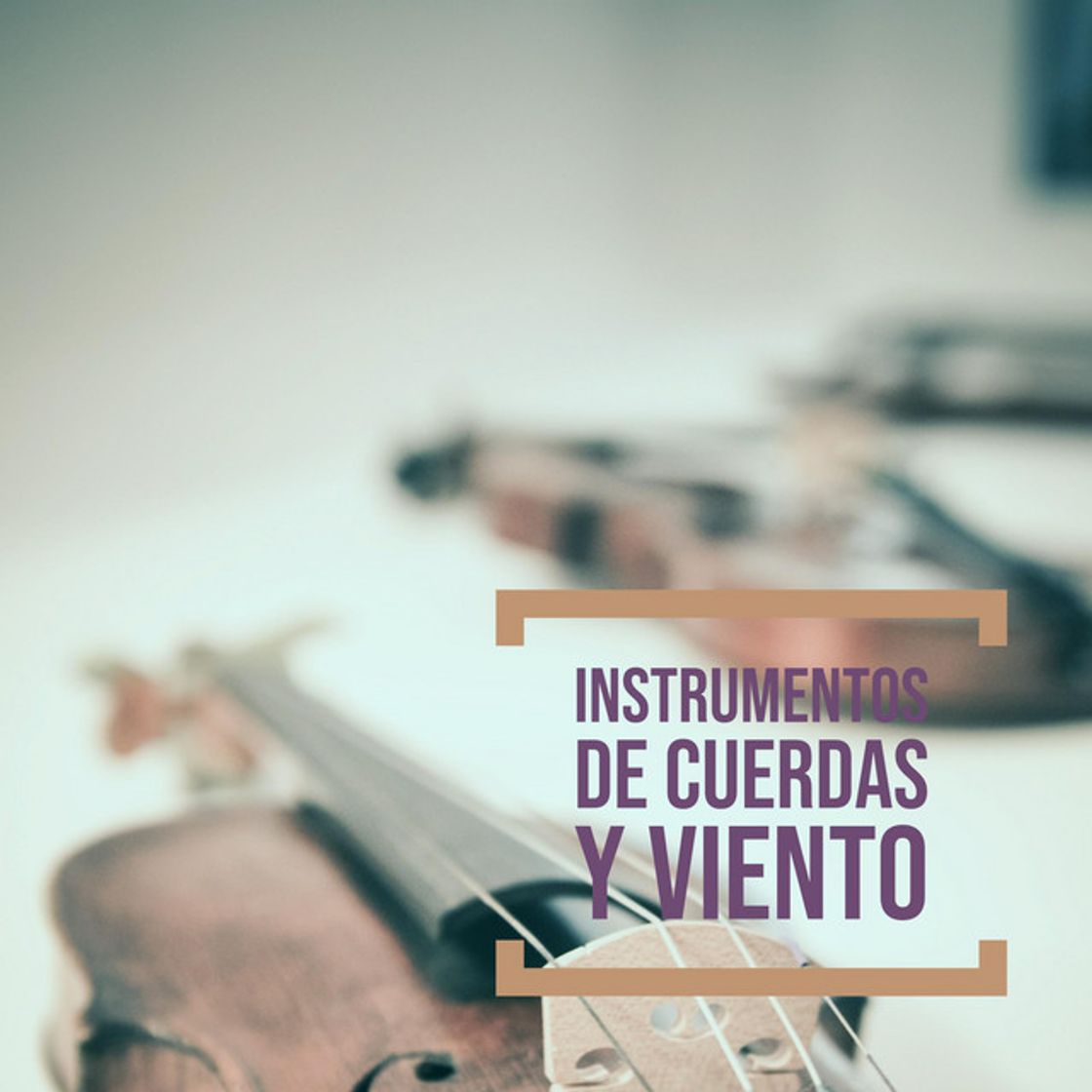 Canción Instrumentos Musicales