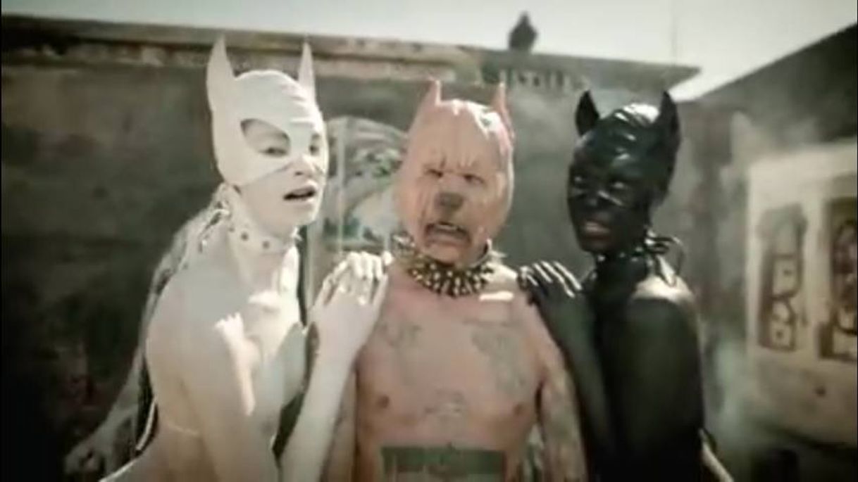 Moda DIE ANTWOORD - PITBULL TERRIER - YouTube