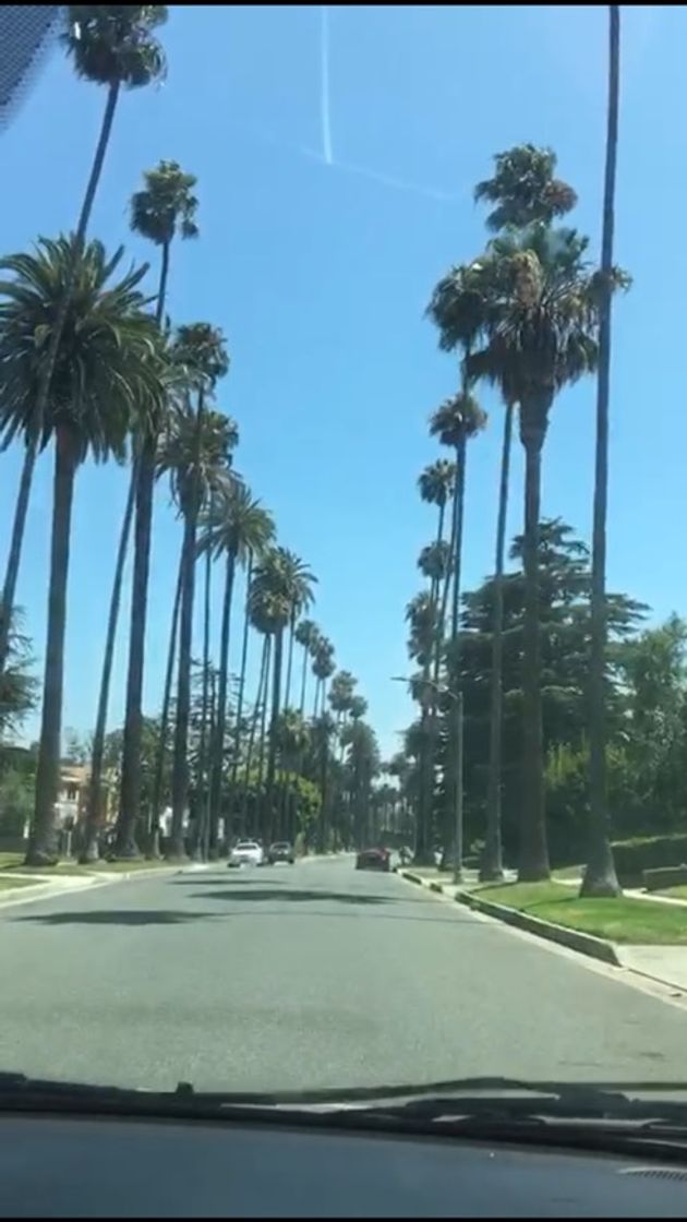 Place Beverly Hills