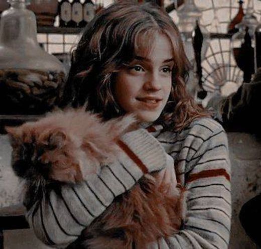 Hermione e bichento 🐱💫