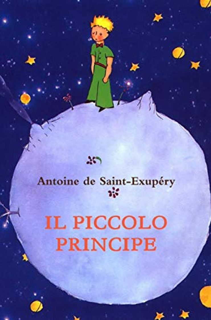 Libro Il piccolo Principe