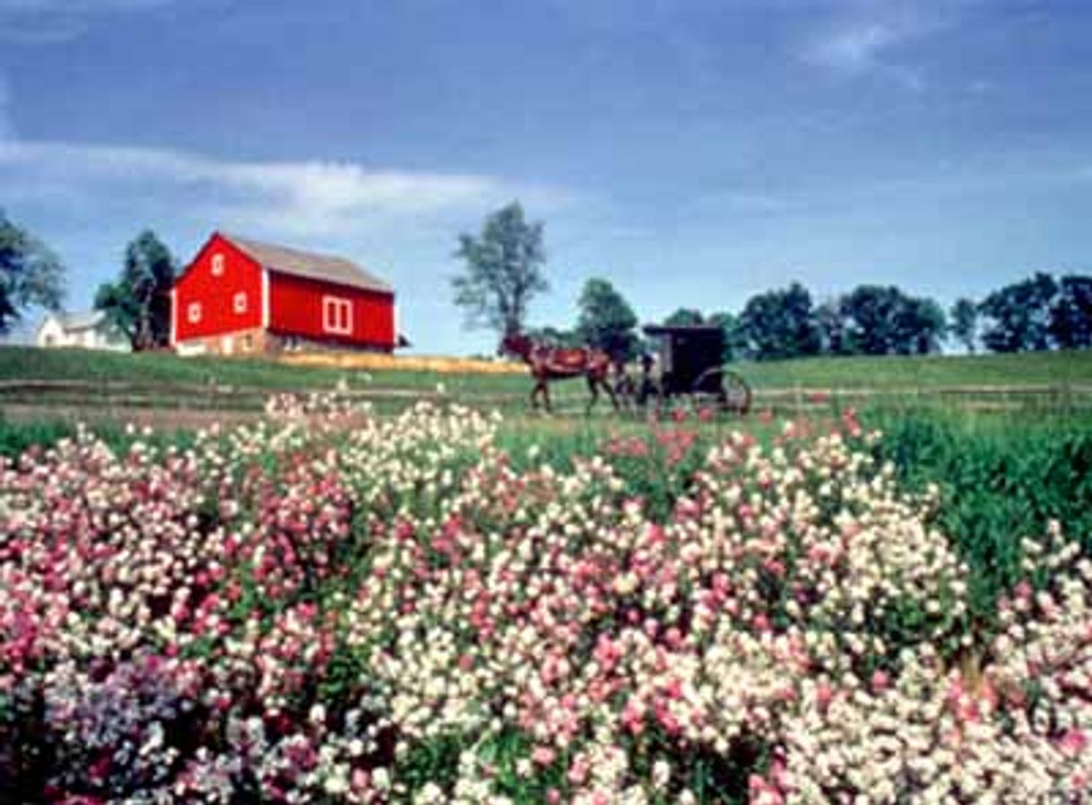 Lugares Amish Country Byway