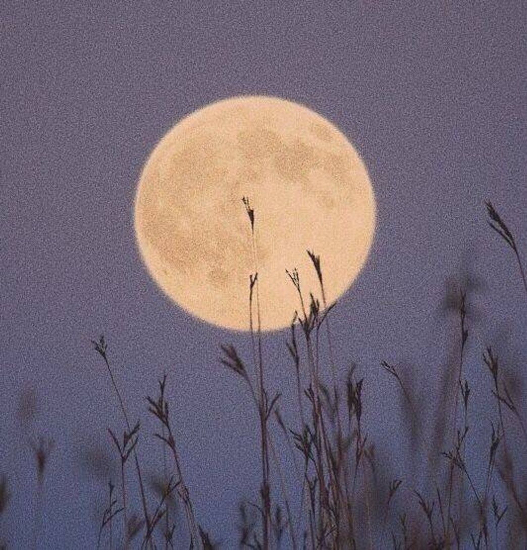 Moda Foto da lua