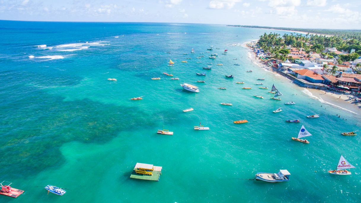 Lugar Porto de Galinhas: Um guia completo para a viagem perfeita