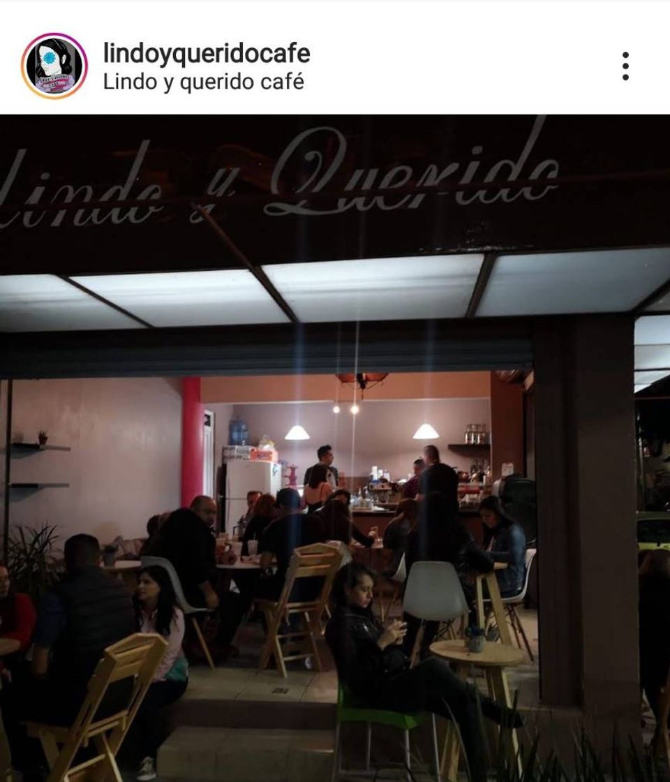 Moda Lindo y Querido Café