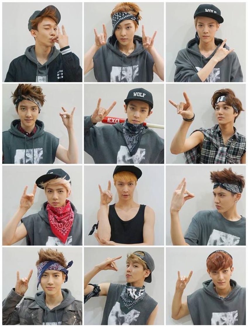 Music 늑대와 미녀 (Wolf)