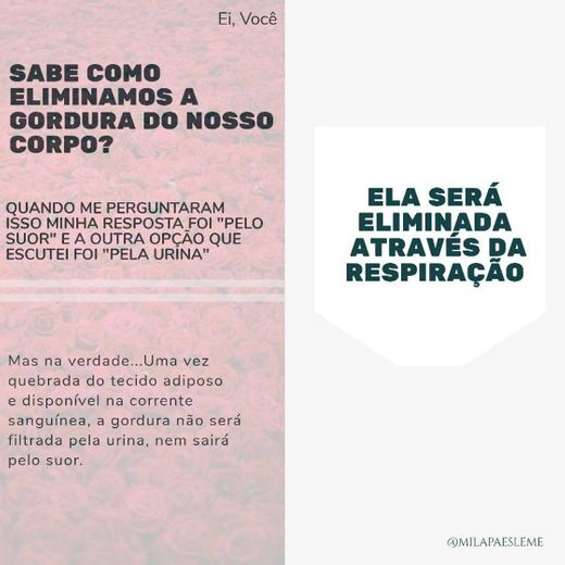 Dicas e curiosidades de nutrição 