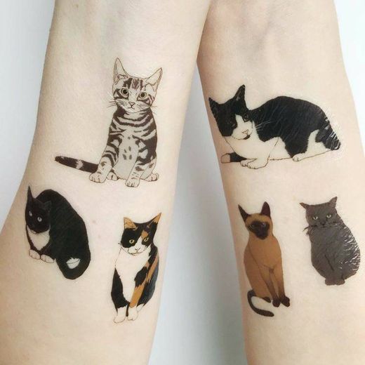 Tatto Cats 