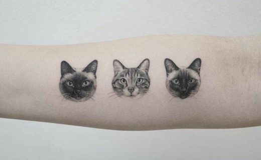 cats tatto 
