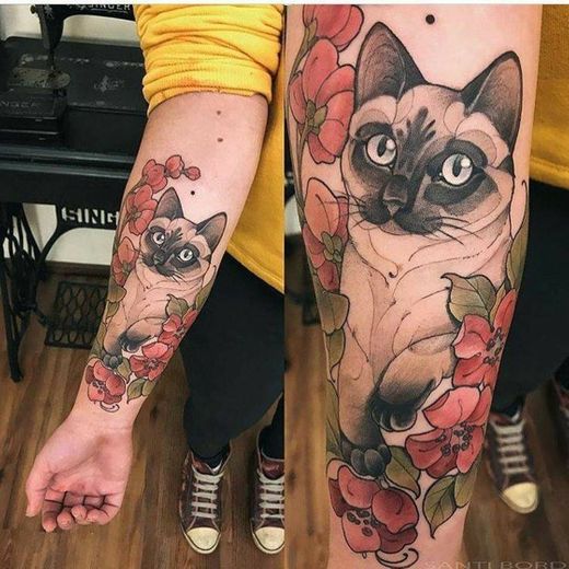 cat tatto and all star 