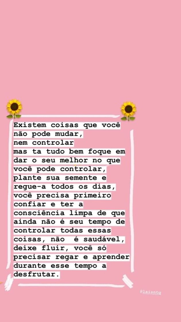 Moda 🌼