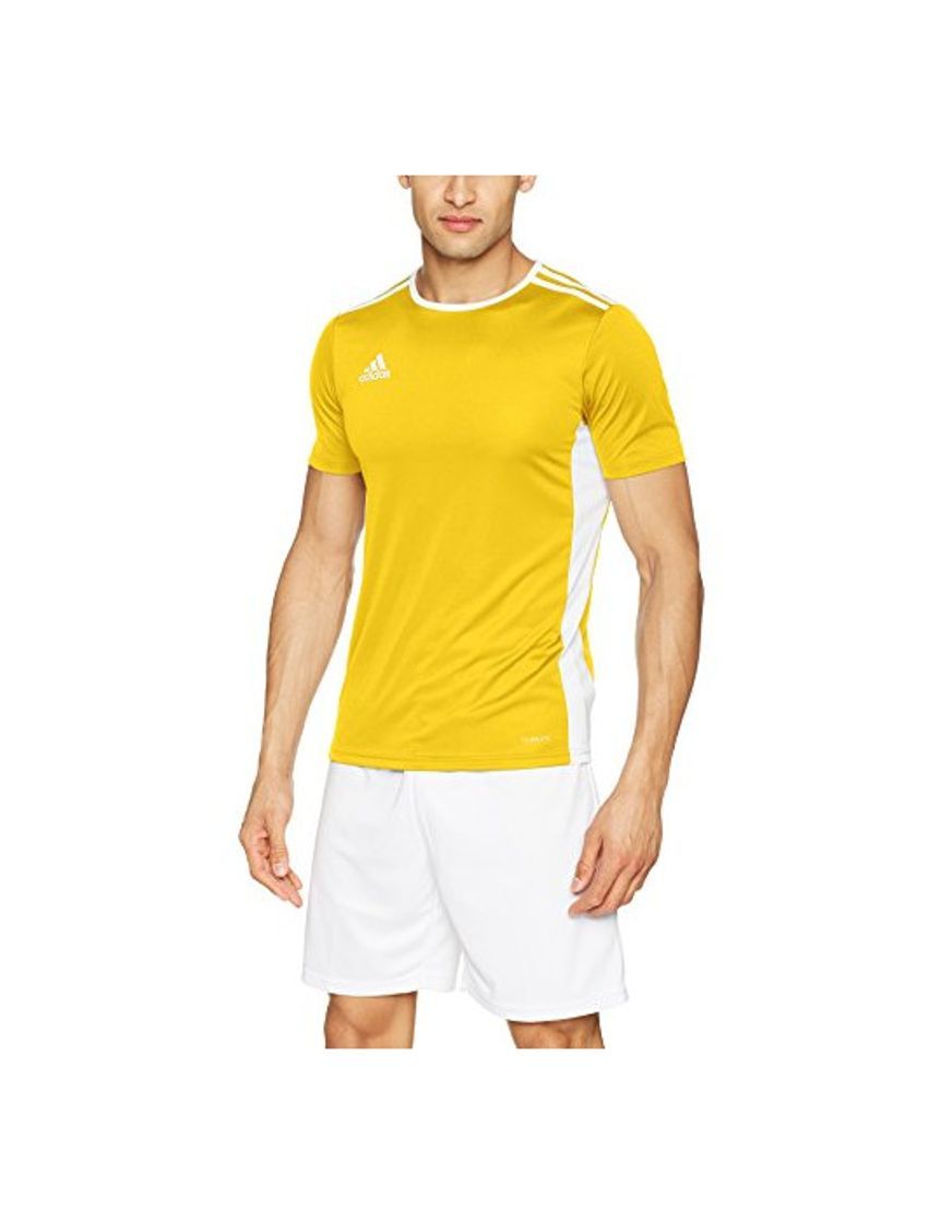 Fitness adidas Entrada 18 JSY T-Shirt