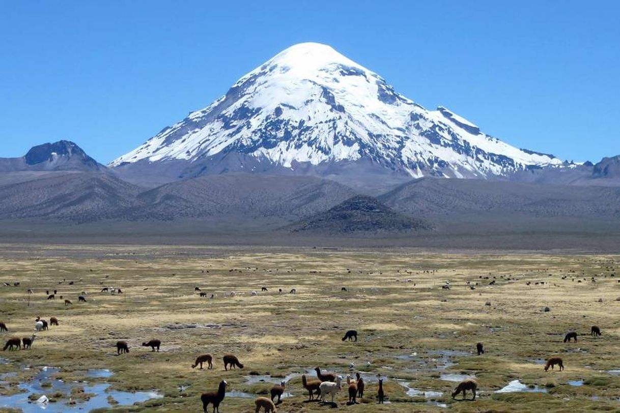 Places Nevado Sajama