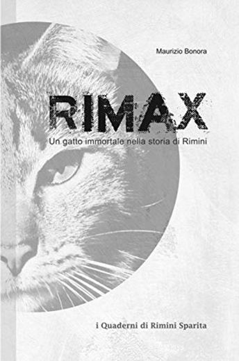 Rimax: Un gatto immortale nella storia di Rimini