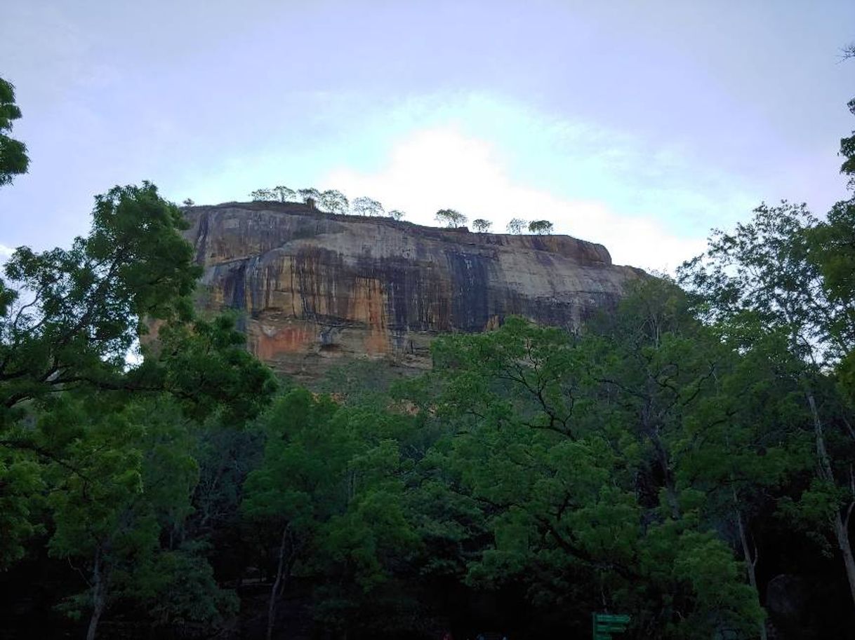 Place Sigiriya