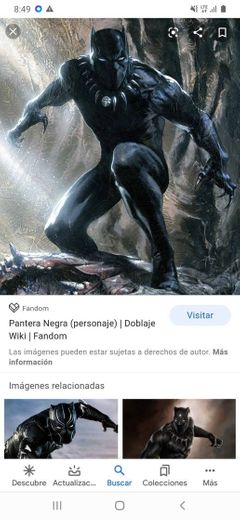 La pantera negra