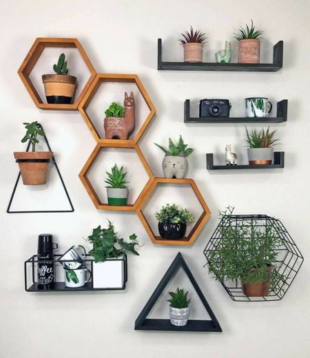 Como compor uma parede decorativa com plantas 