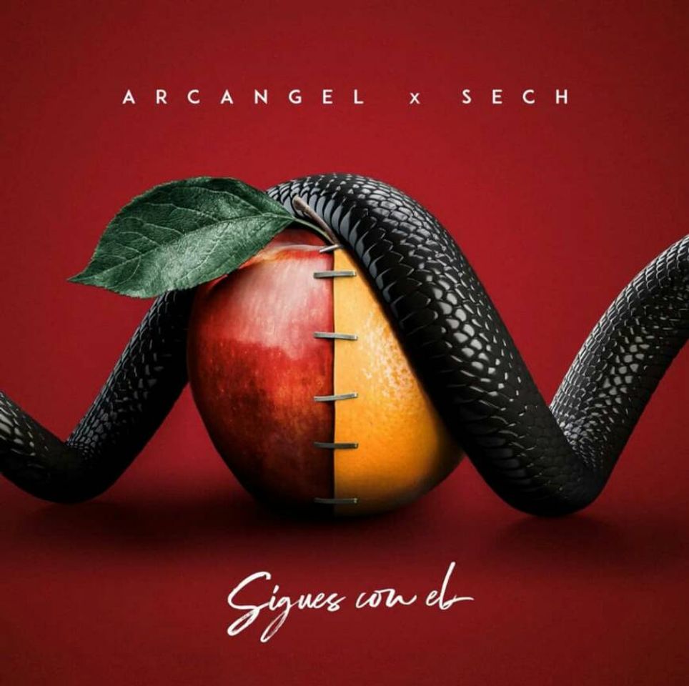 Social Arcangel ft Sech - sigues con el
