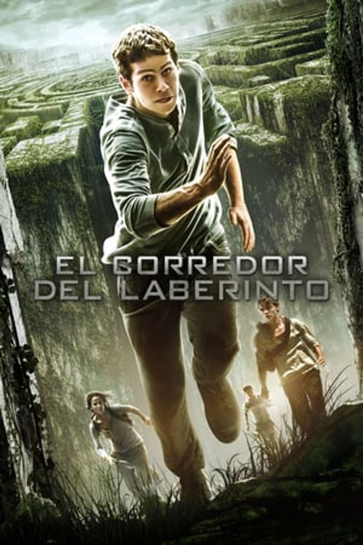 Movie El corredor del laberinto