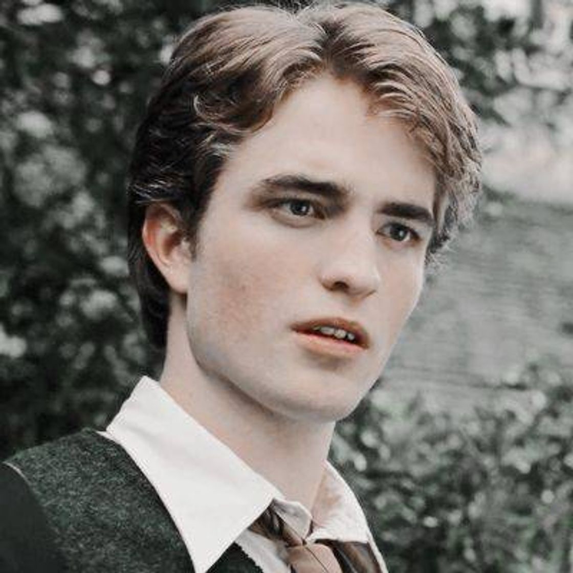 Fashion Cedric Diggory