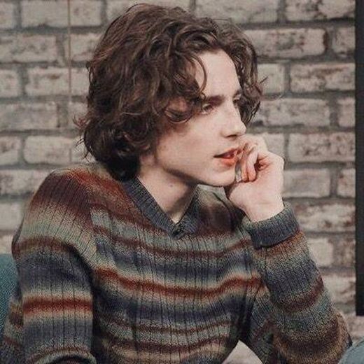 Timothée Chalamet