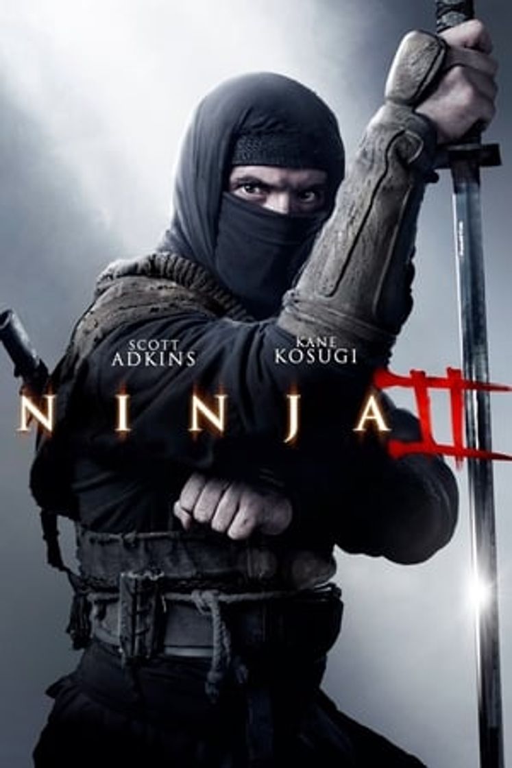 Movie Ninja 2: La sombra de la muerte
