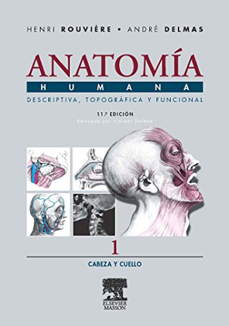 Libro Anatomía Humana Descriptiva
