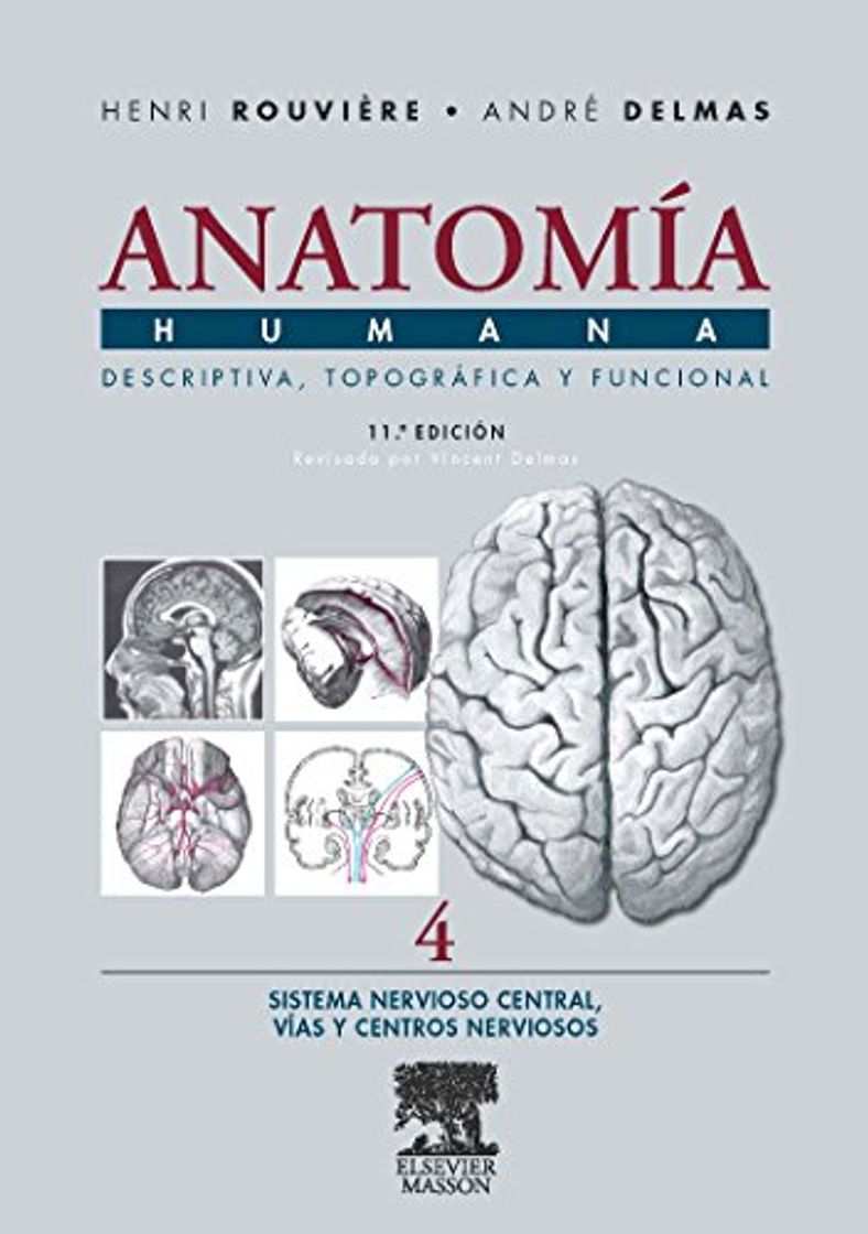 Libro Anatomía Humana Descriptiva, topográfica y funcional