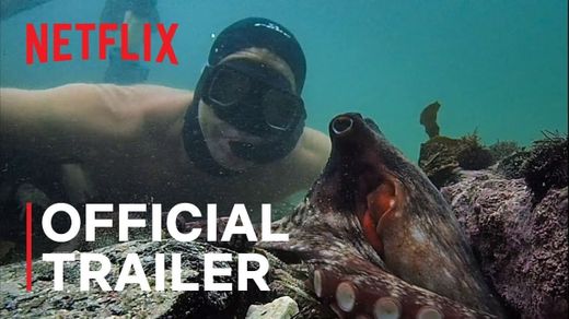 My Octopus Teacher | Official Trailer | Netflix - YouTube