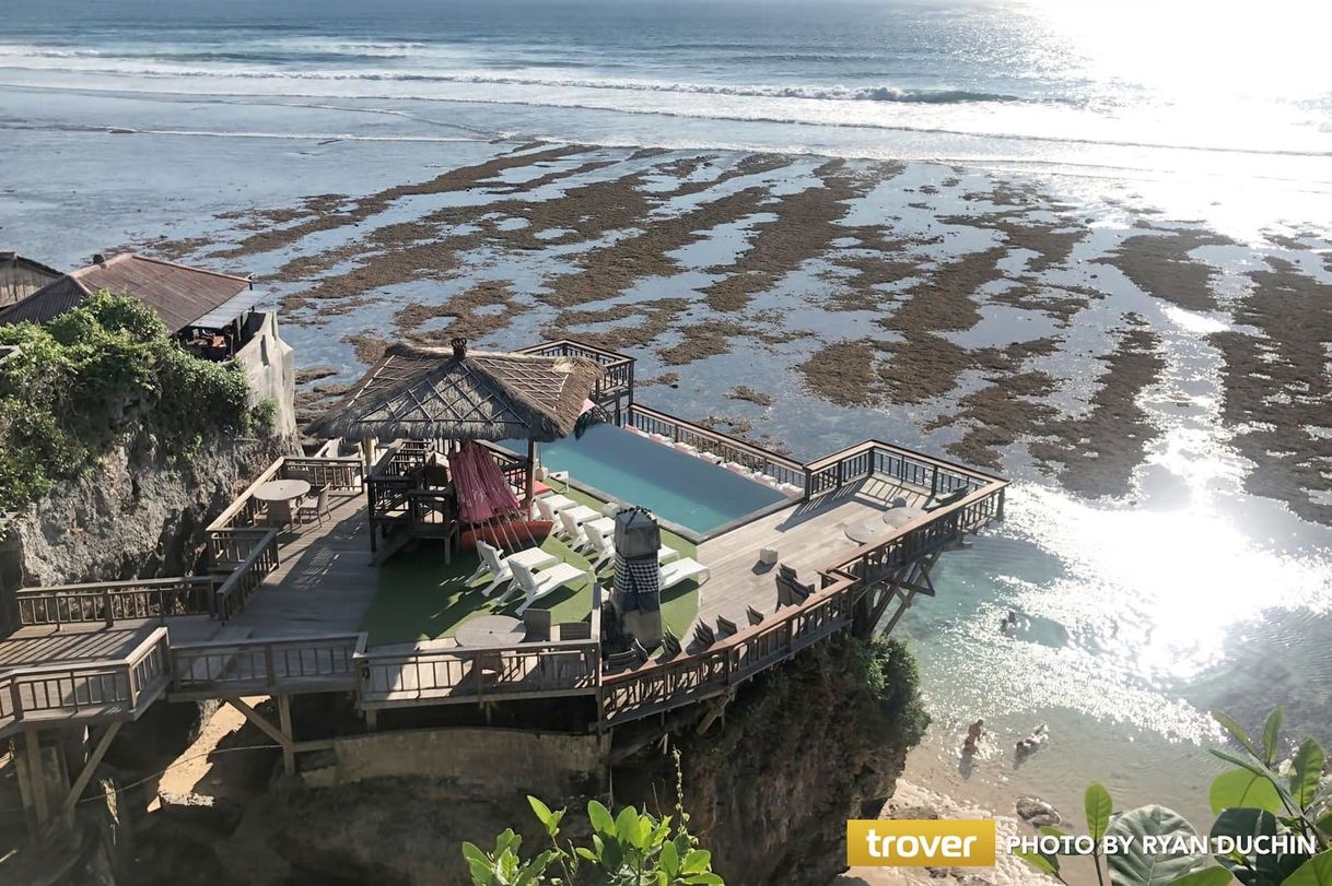 Restaurants Single Fin Bali