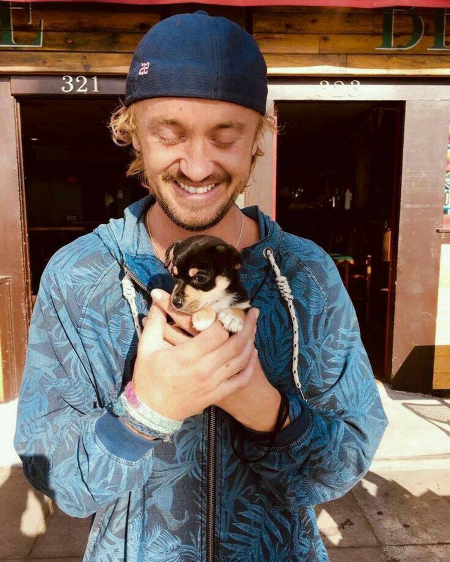 Moda Tom Felton