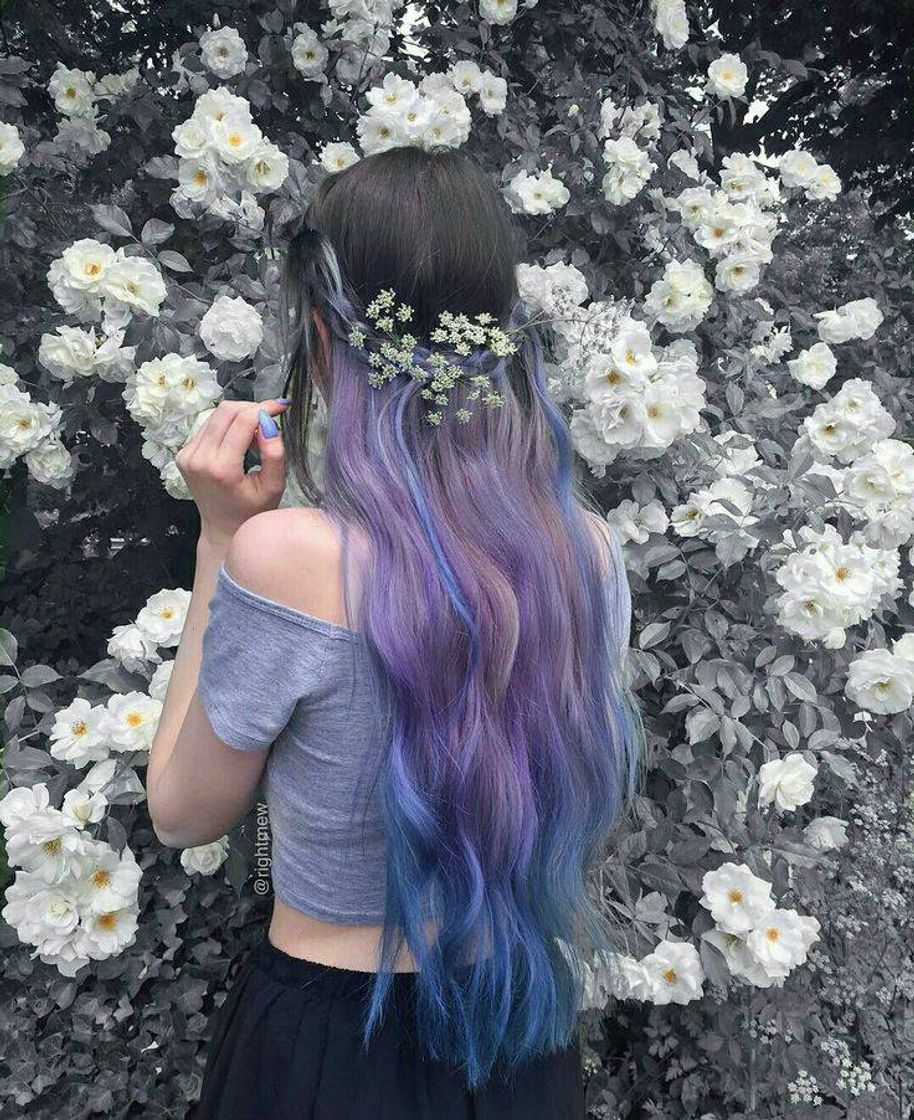 Social Cabelo colorido 🌈
