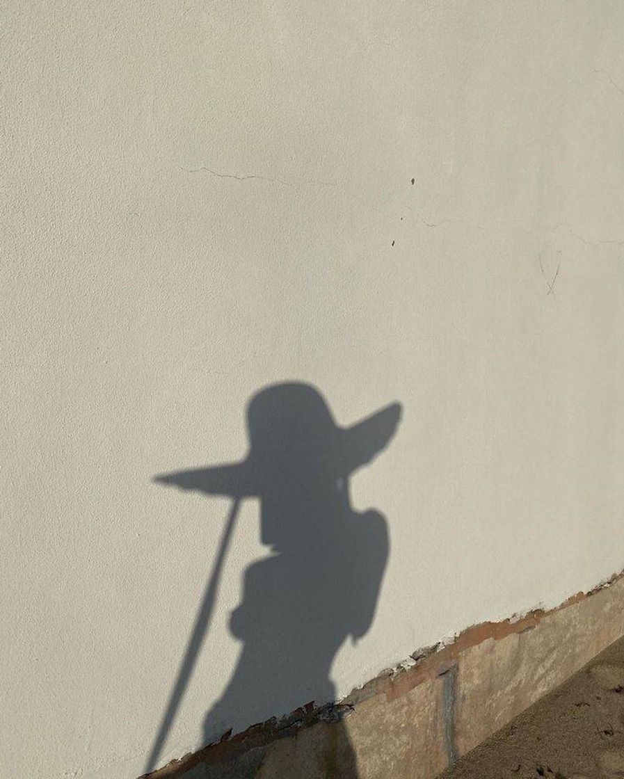 Social Wallpaper 🤠