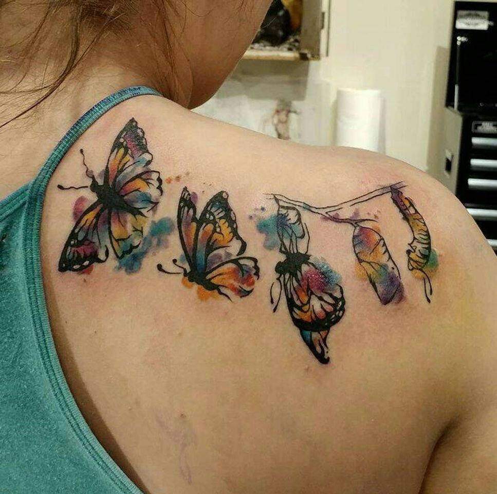 Moda Tatuagem evolução da borboleta 