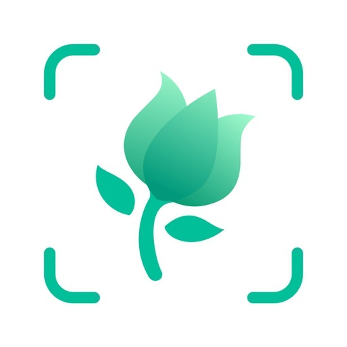 App PictureThis - Plant Identifier