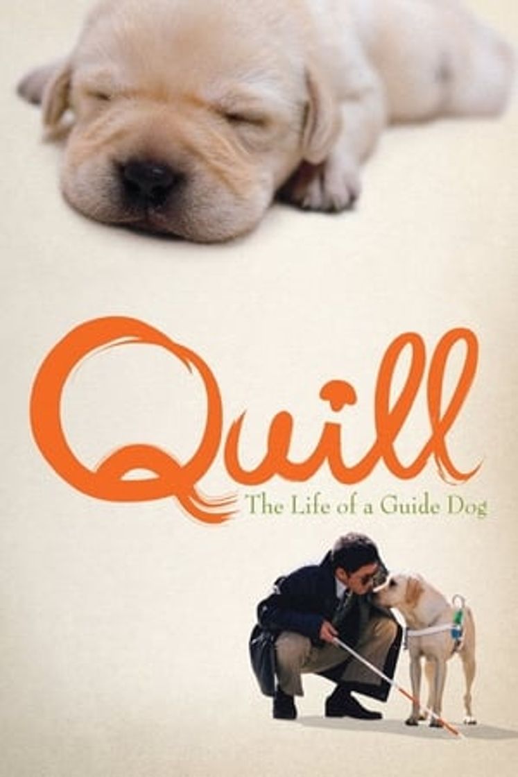 Movie Quill