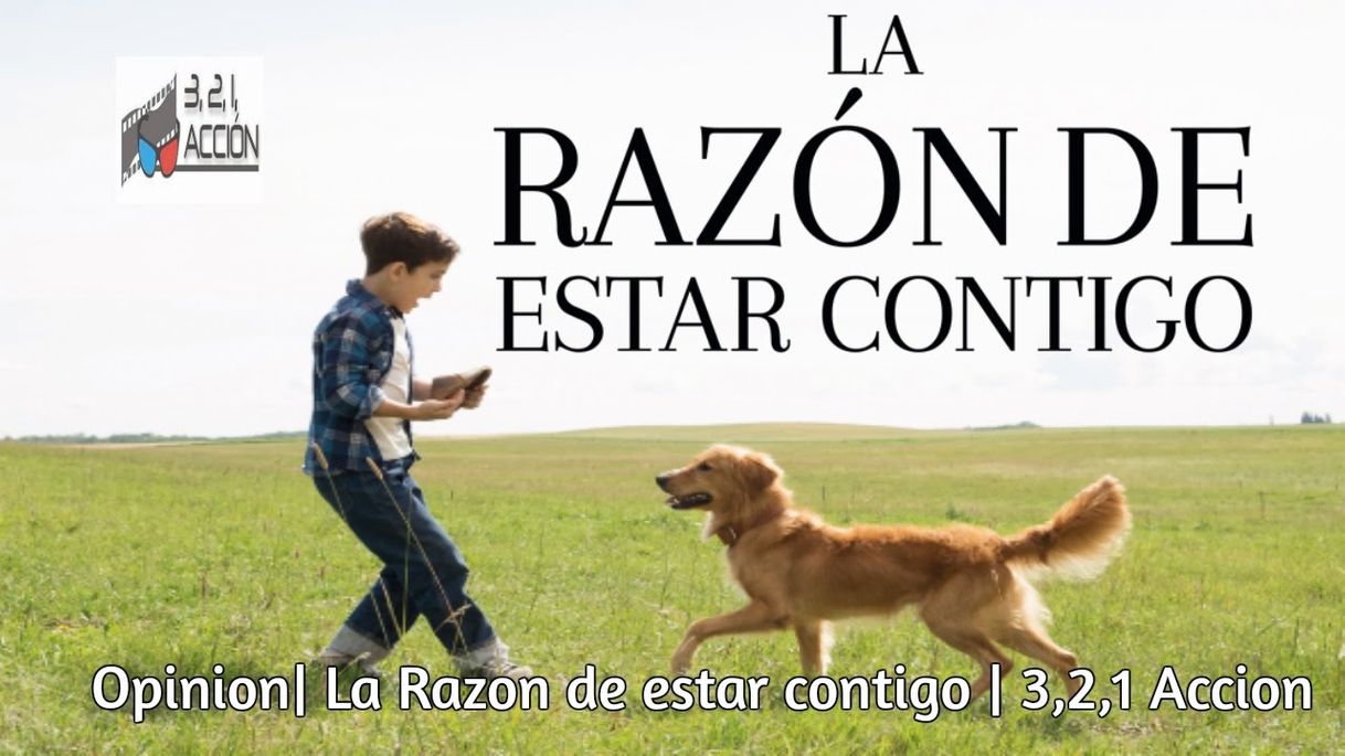 Movie La Razón de estar contigo Trailer en español - YouTube