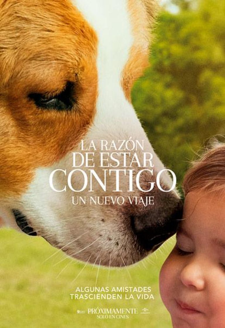 Película La razón de estar contigo 2 Un nuevo viaje