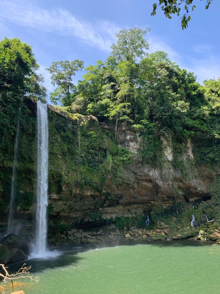 Place Cascada de Misol-Ha